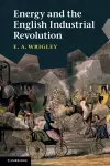 Energy and the English Industrial Revolution cover