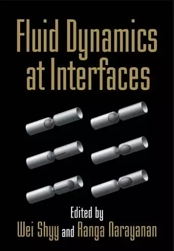 Fluid Dynamics at Interfaces cover