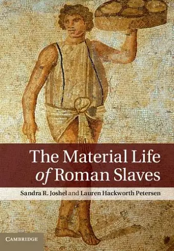 The Material Life of Roman Slaves cover