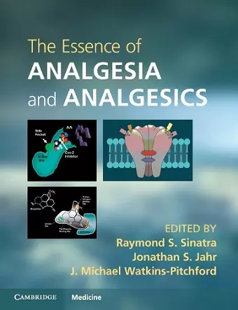 The Essence of Analgesia and Analgesics cover