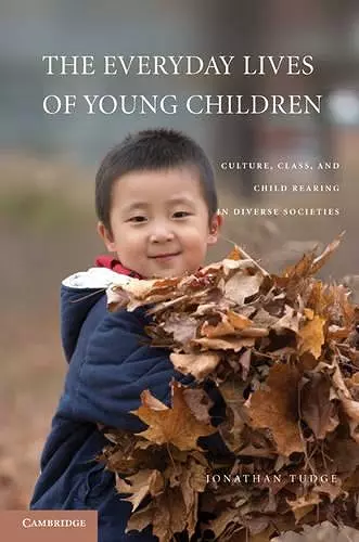 The Everyday Lives of Young Children cover