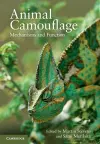 Animal Camouflage cover