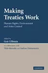 Making Treaties Work cover