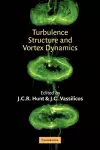 Turbulence Structure and Vortex Dynamics cover