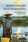 Beyond Corporate Social Responsibility cover