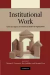 Institutional Work cover
