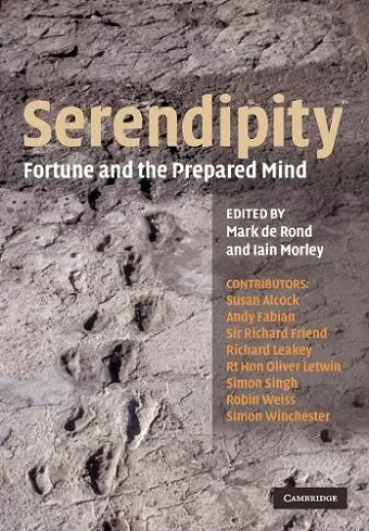 Serendipity cover