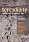 Serendipity cover