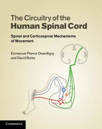 The Circuitry of the Human Spinal Cord cover