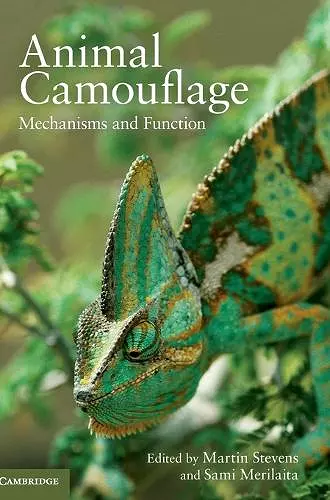 Animal Camouflage cover