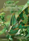 Animal Camouflage cover