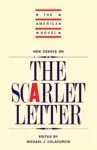 New Essays on 'The Scarlet Letter' cover