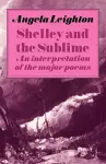 Shelley and the Sublime cover