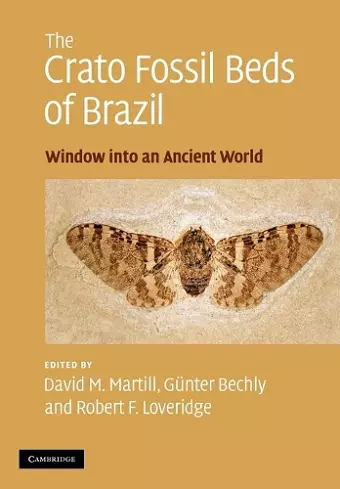 The Crato Fossil Beds of Brazil cover