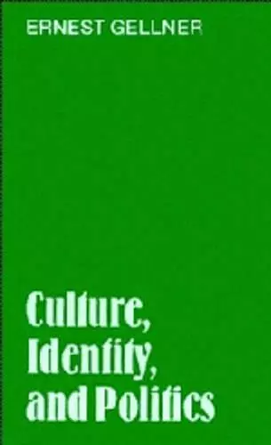 Culture, Identity, and Politics cover