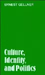 Culture, Identity, and Politics cover