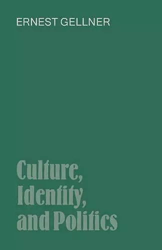 Culture, Identity, and Politics cover