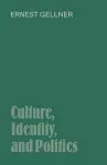 Culture, Identity, and Politics cover