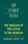 The Theology of the Letter to the Hebrews cover