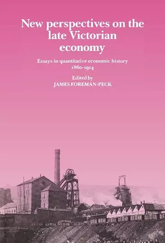 New Perspectives on the Late Victorian Economy cover