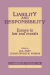 Liability and Responsibility cover