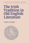 The Irish Tradition in Old English Literature cover