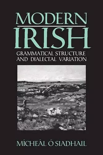 Modern Irish cover