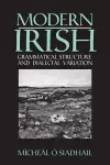 Modern Irish cover