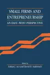 Small Firms and Entrepreneurship cover