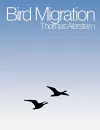 Bird Migration cover