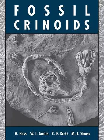 Fossil Crinoids cover