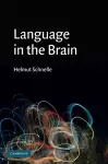 Language in the Brain cover