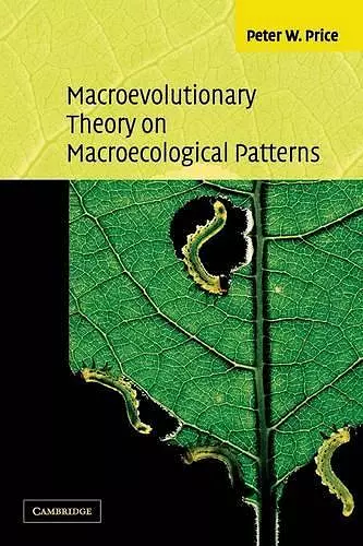 Macroevolutionary Theory on Macroecological Patterns cover