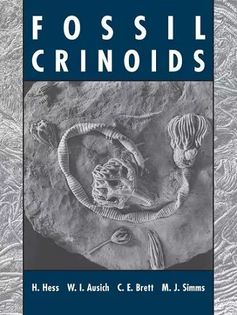 Fossil Crinoids cover