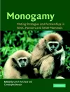 Monogamy cover