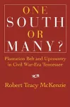 One South or Many? cover