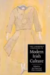 The Cambridge Companion to Modern Irish Culture cover