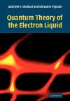 Quantum Theory of the Electron Liquid cover