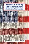 American Identity and the Politics of Multiculturalism cover