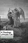 A Theology of Public Life cover