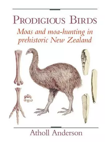 Prodigious Birds cover