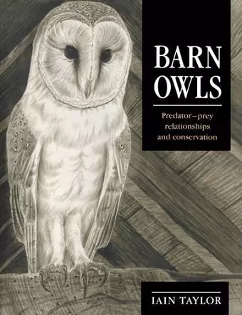 Barn Owls cover