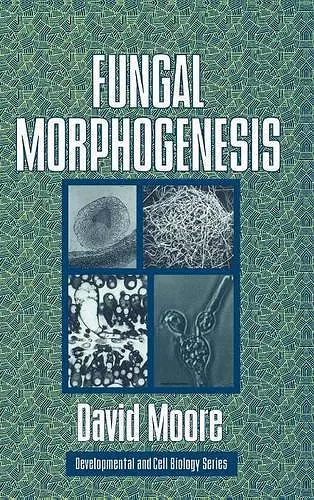 Fungal Morphogenesis cover