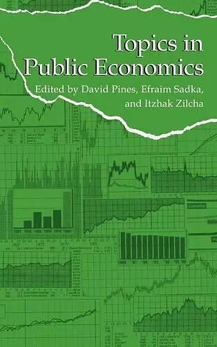 Topics in Public Economics cover