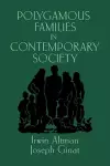 Polygamous Families in Contemporary Society cover