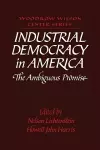 Industrial Democracy in America cover