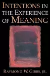 Intentions in the Experience of Meaning cover