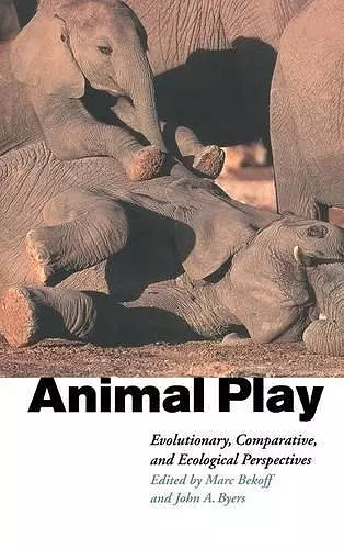 Animal Play cover