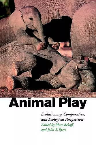 Animal Play cover