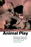 Animal Play cover